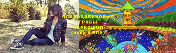 стаф Михайлов