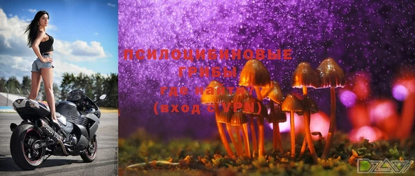MDMA Михайловск