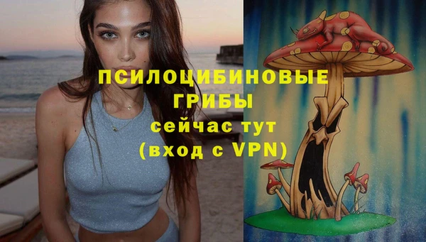 хмурый Михайловка
