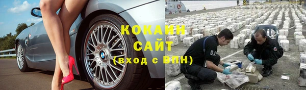 стаф Михайлов